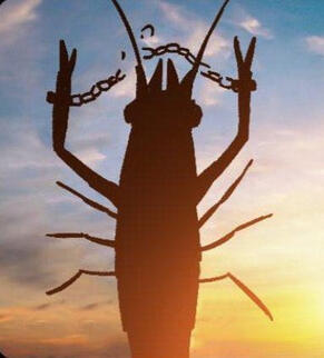 Freedom!!!