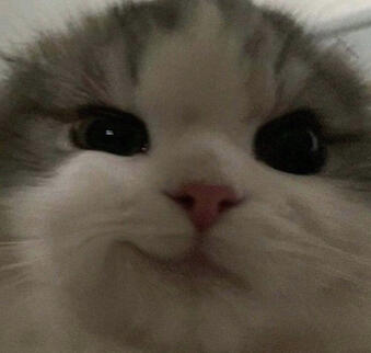 nyehehehe
